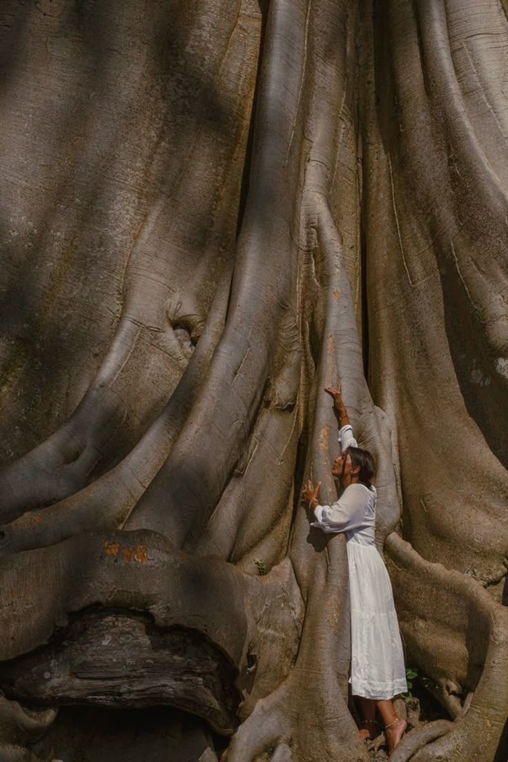Abbracciare un albero gigante - Forest Bathing