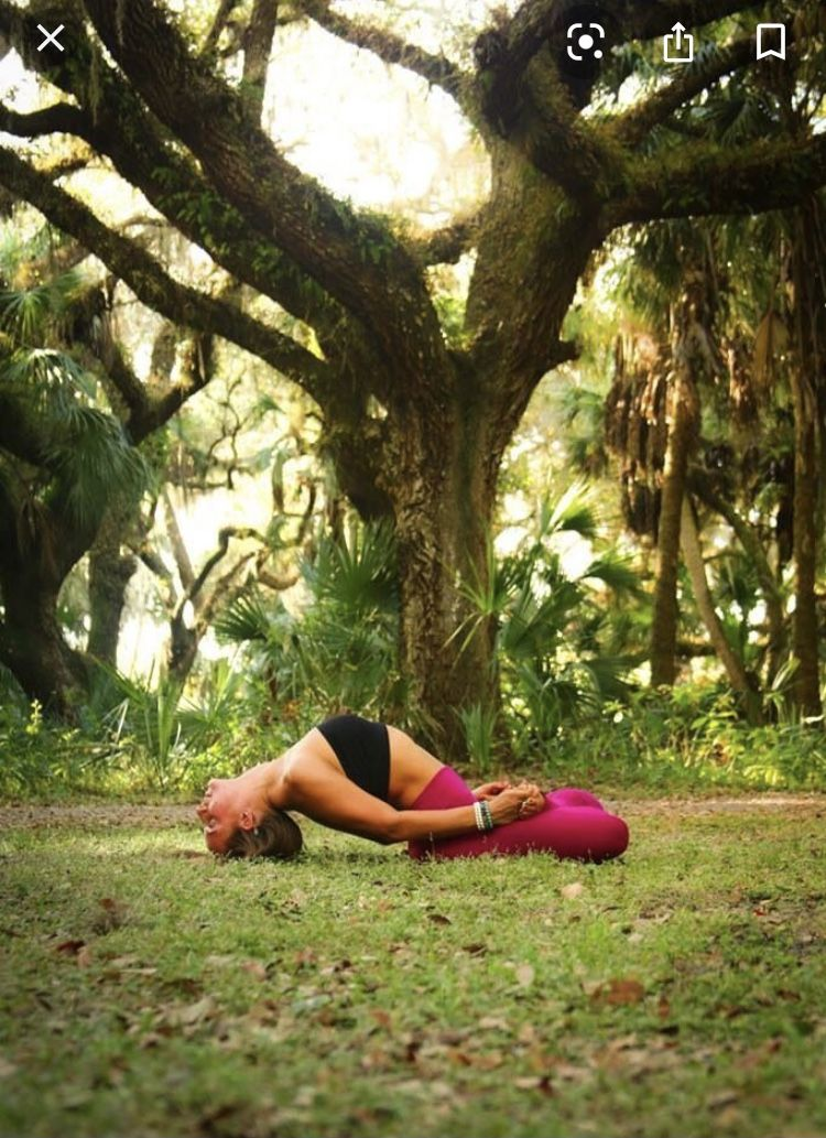 Yoga nella foresta sotto un grande albero