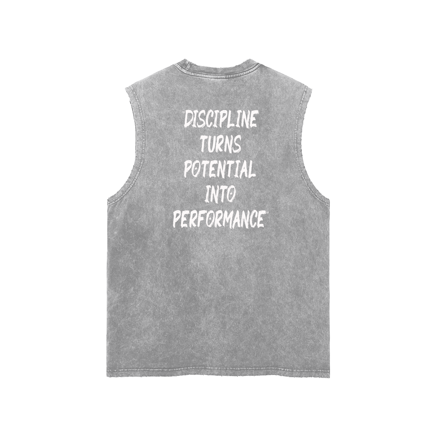 3T Discipline Into Performance view 4