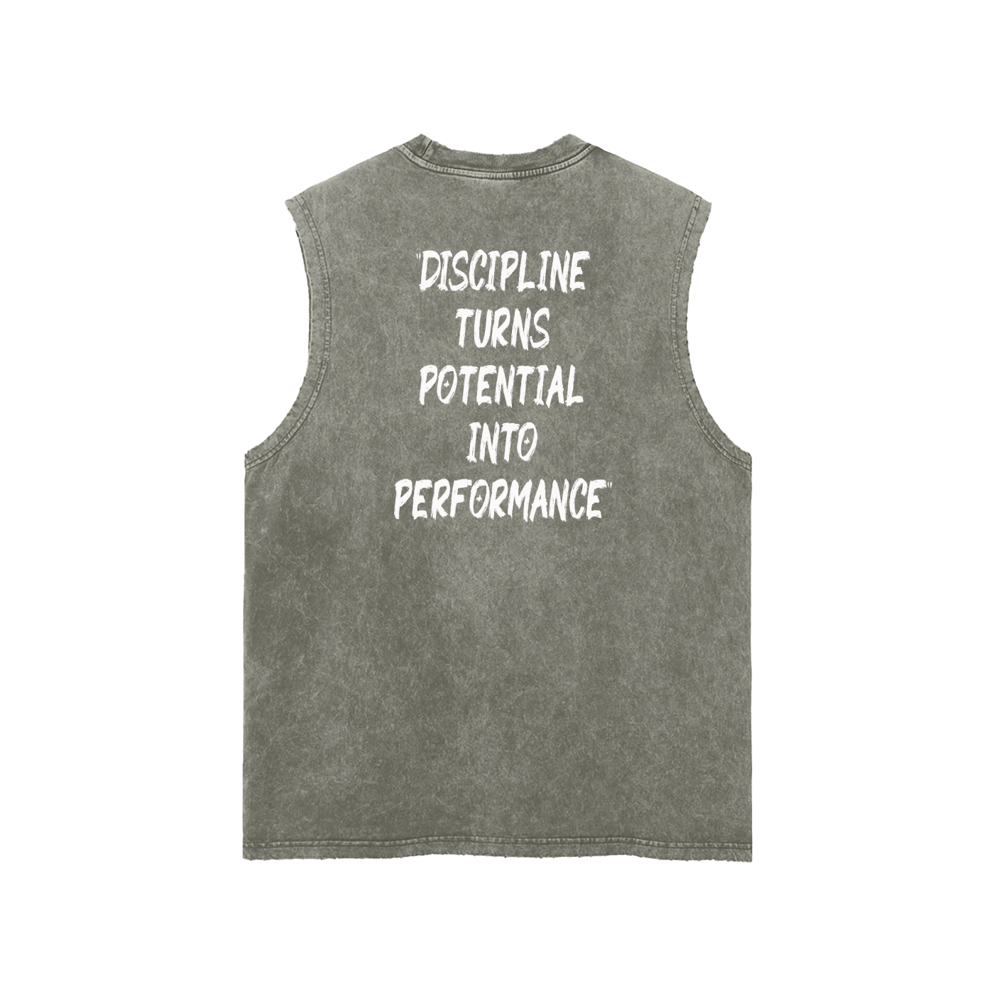 3T Discipline Into Performance view 6