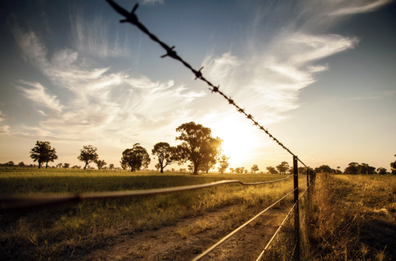 Farm Fencing