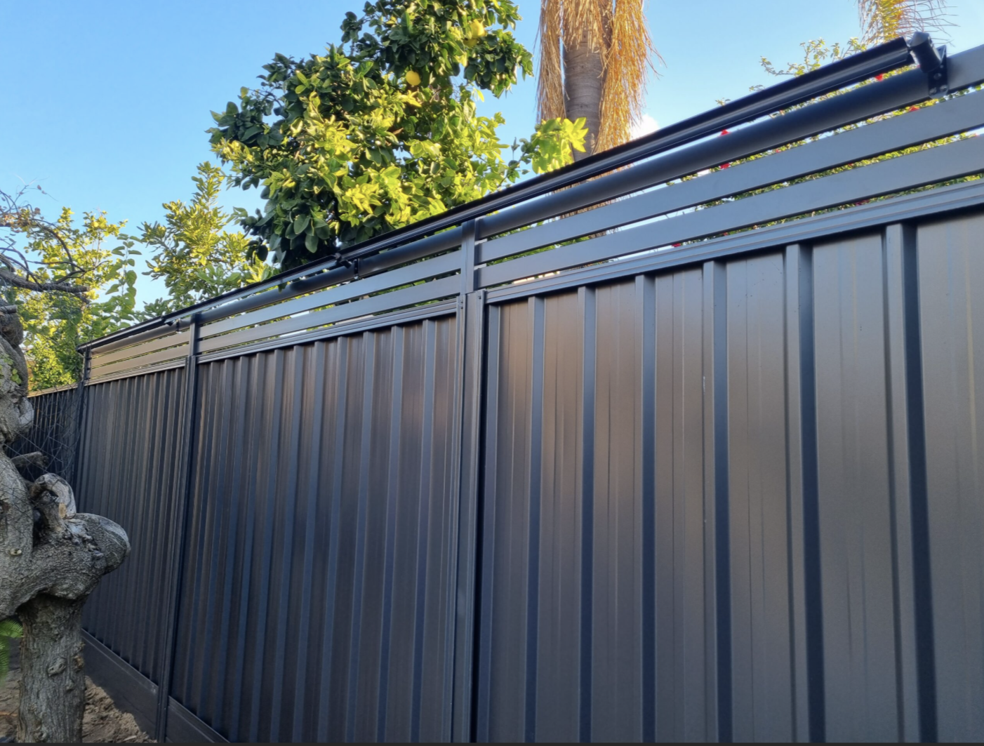 Colorbond Steel
