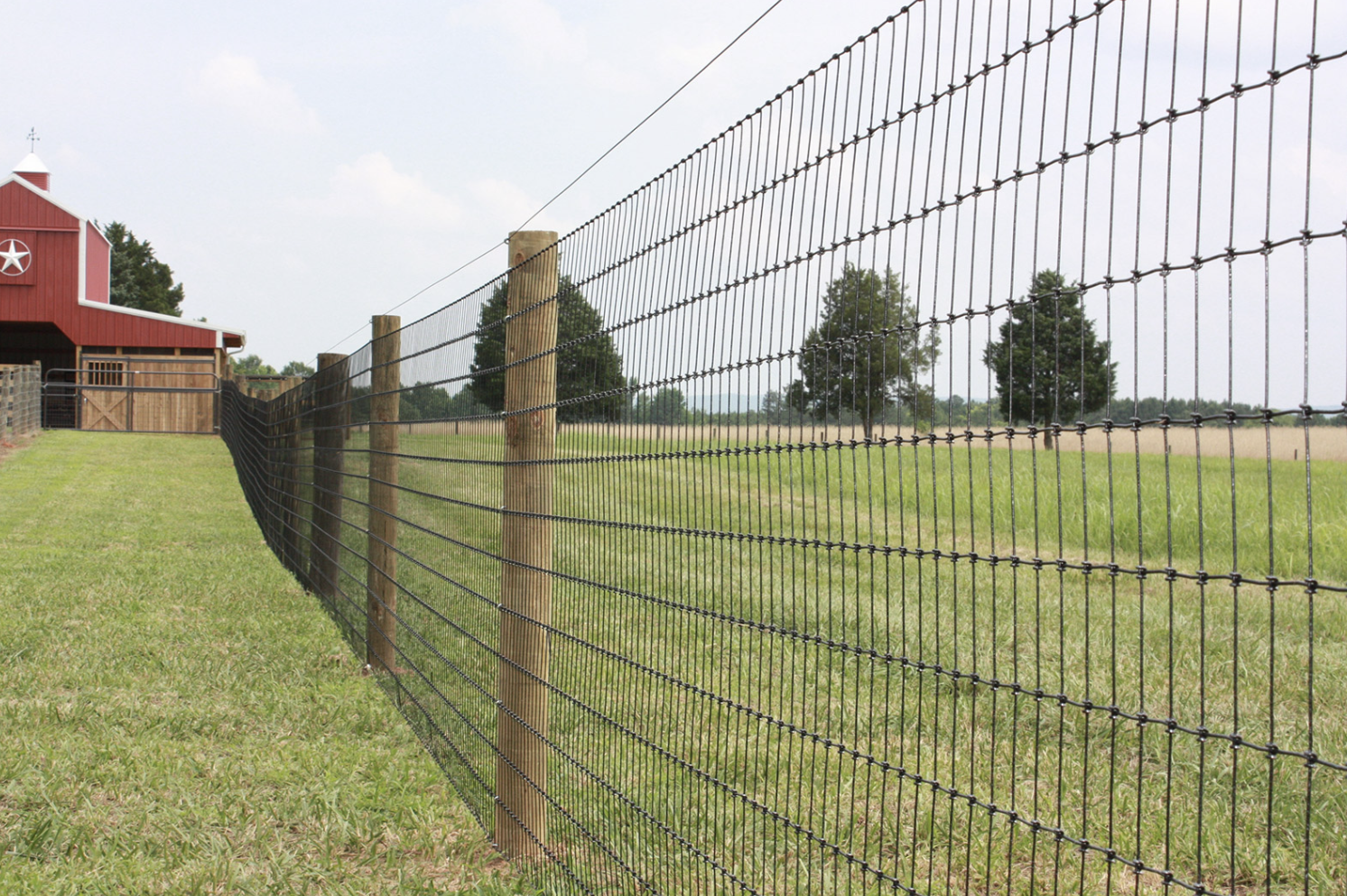 Rural Wire Fence