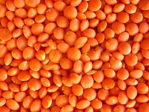 Red Lentils