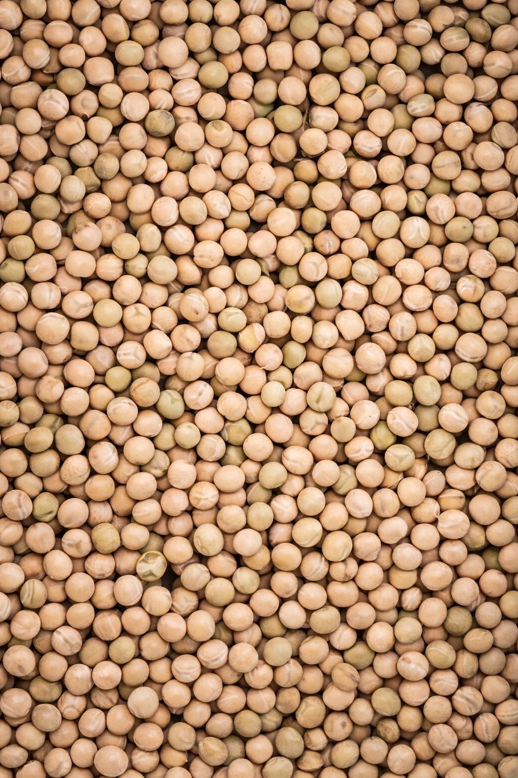 Yellow Peas