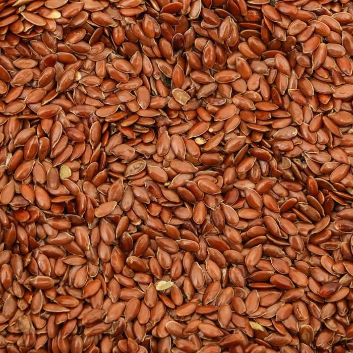 Flax Seeds