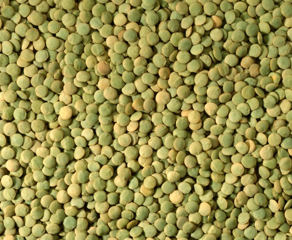 Green Lentils