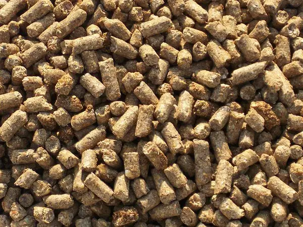 Corn Bran