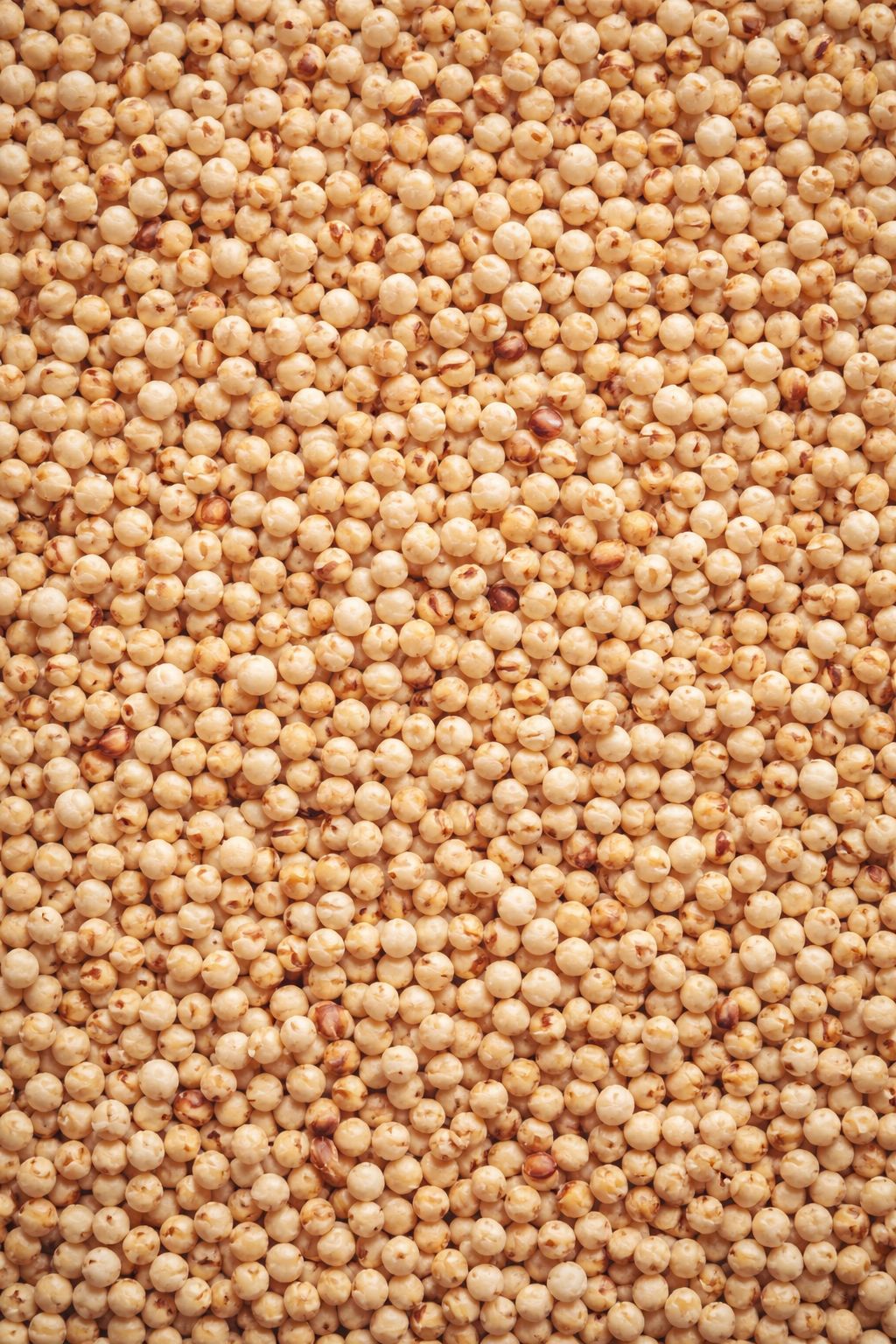 Sorghum