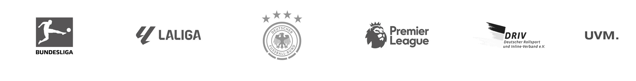 Bundesliga, LaLiga, DFB, Premier League, DRIV