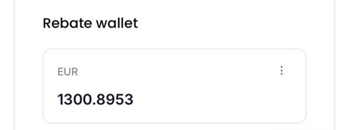 Rebate wallet — EUR 1.300,89 recuperati