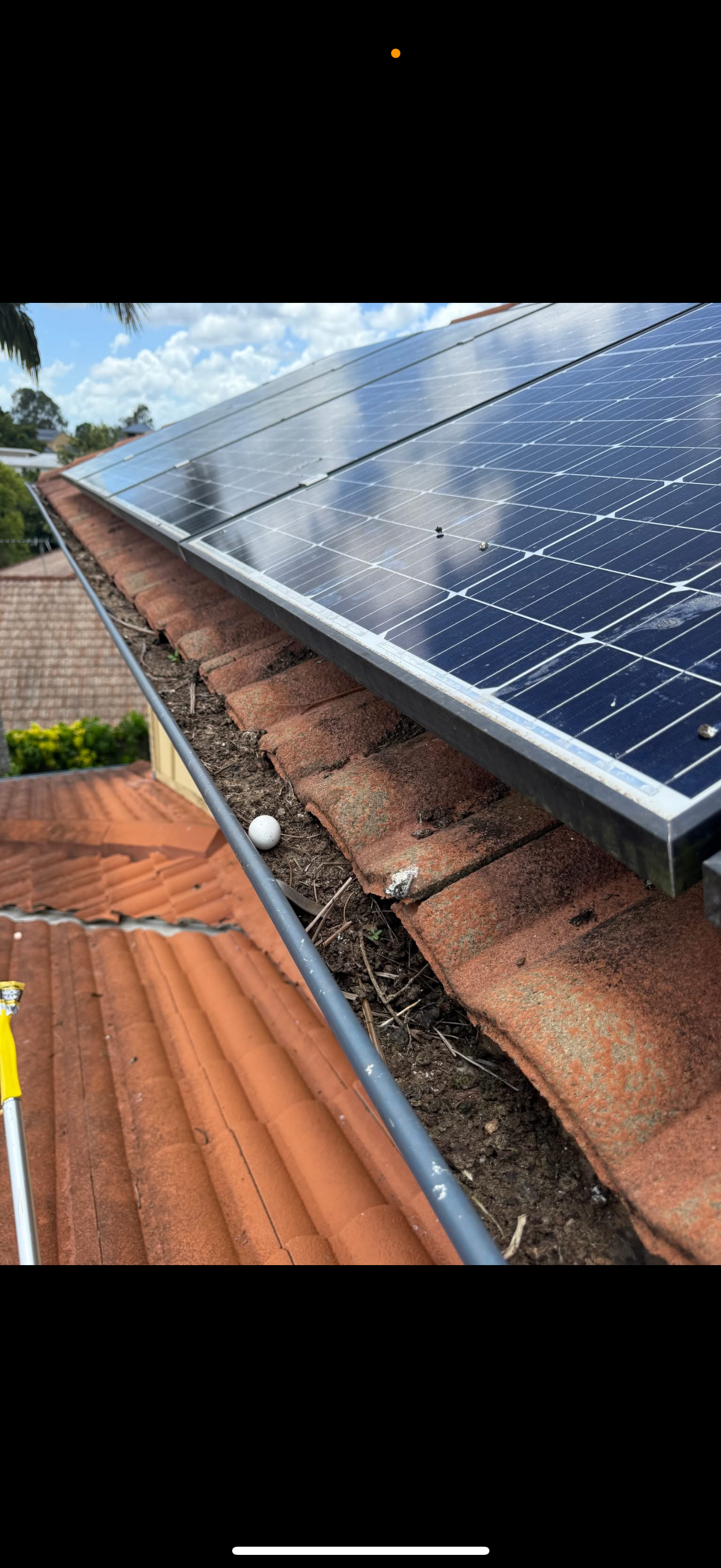 Blocked gutters with pigeon droppings under solar panels