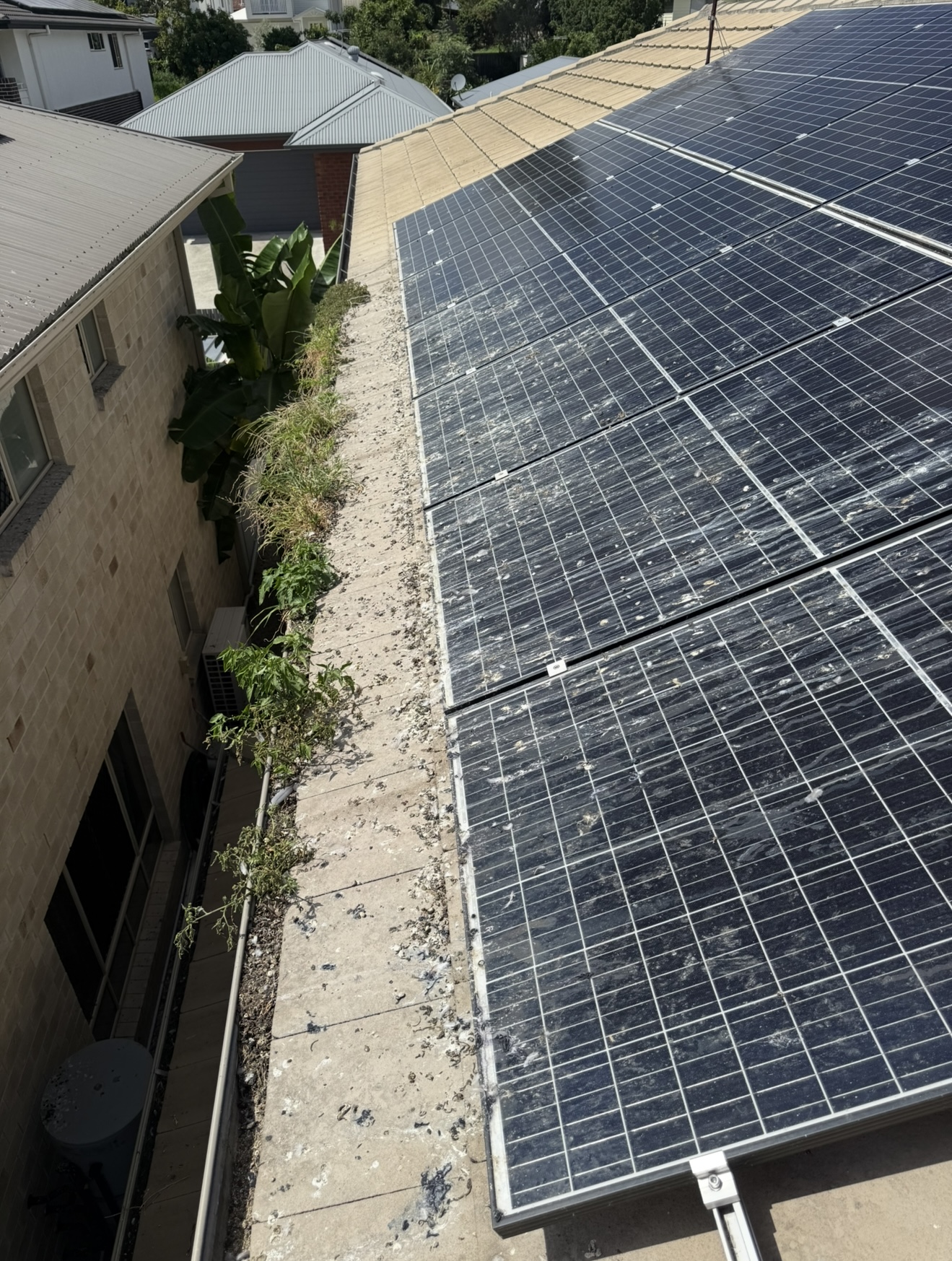 Droppings covering roof & panels