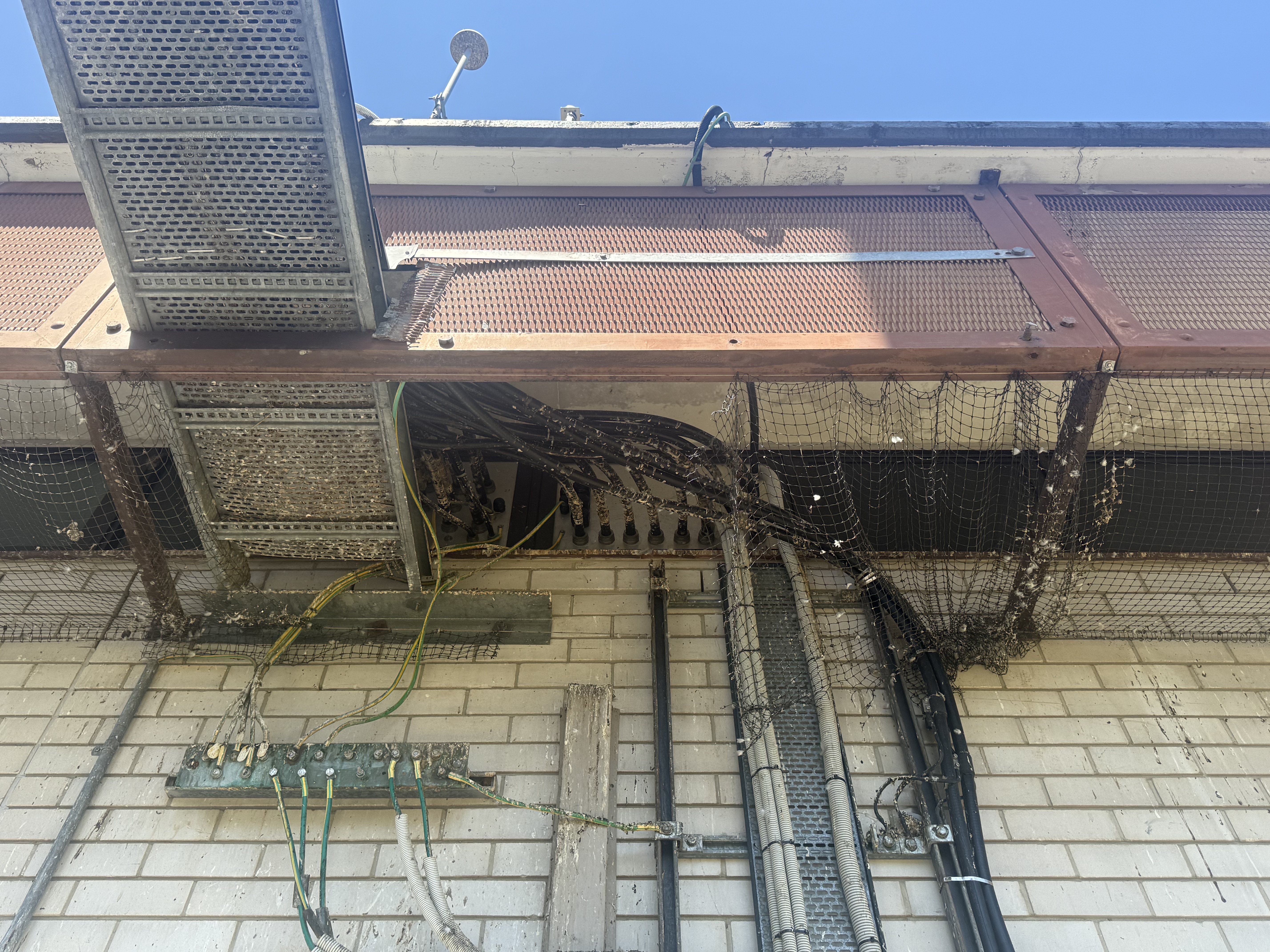 Damaged bird netting & droppings on building
