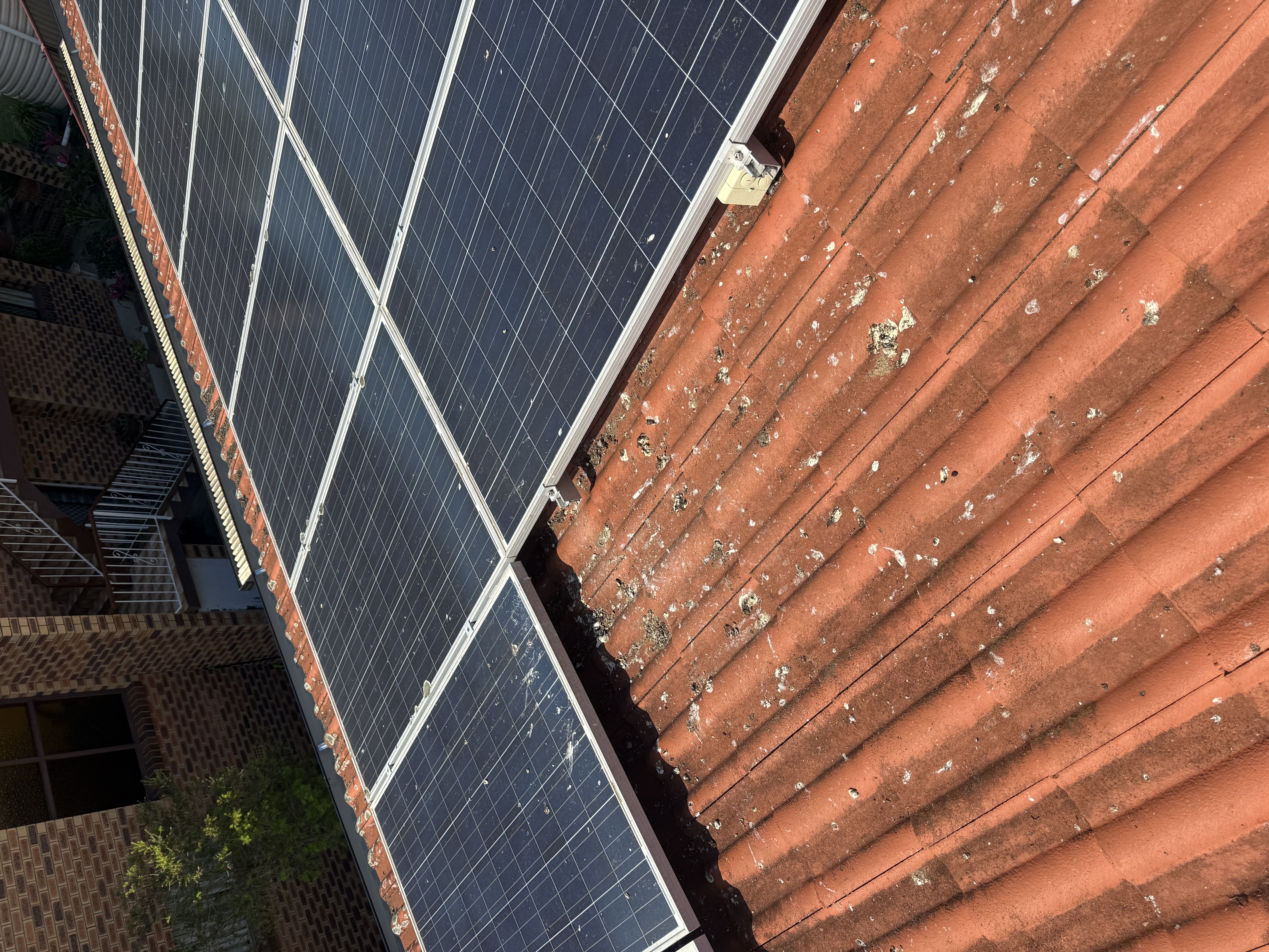 Bird droppings covering solar panels & tiles