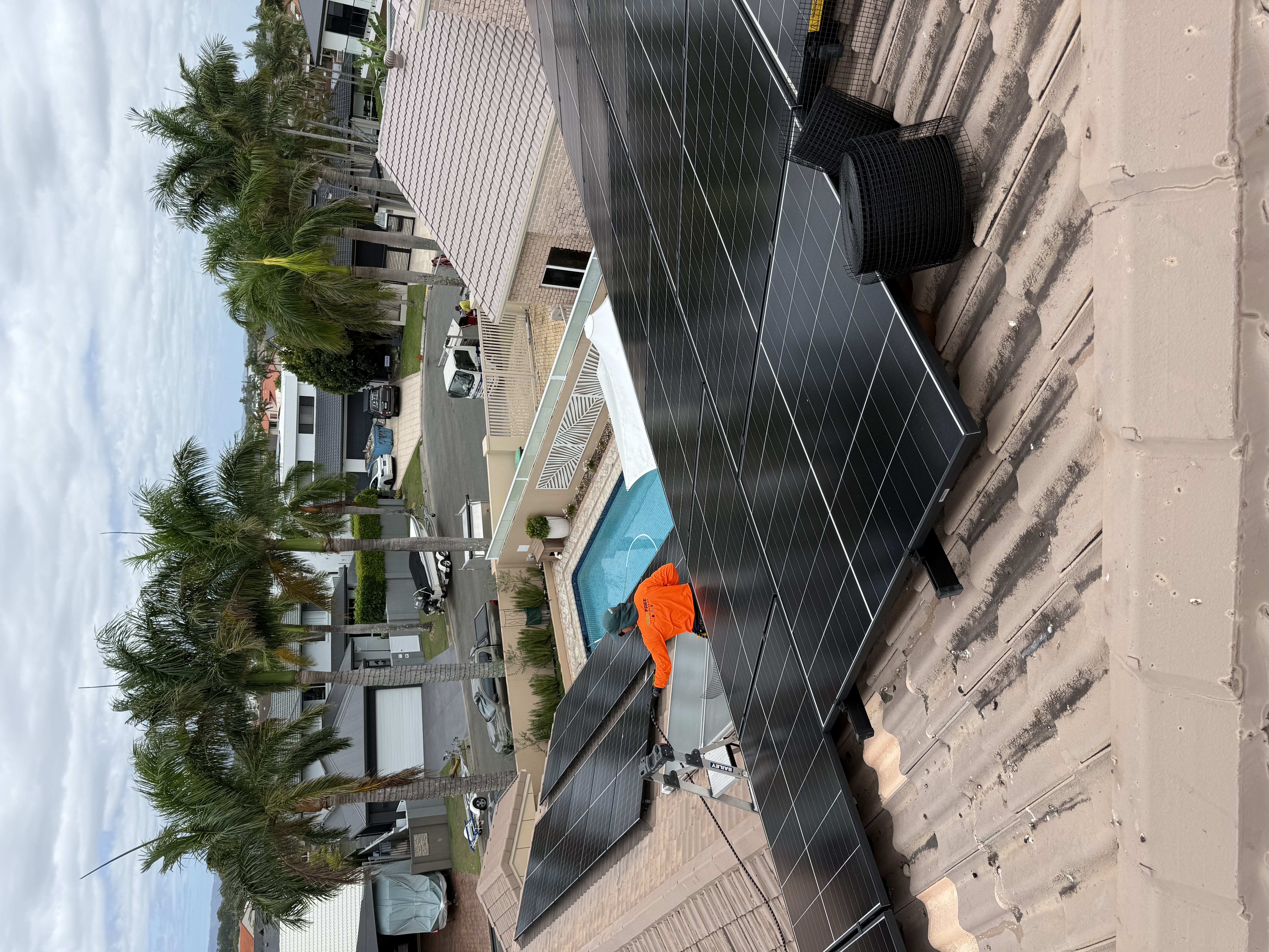 Early-stage bird proofing