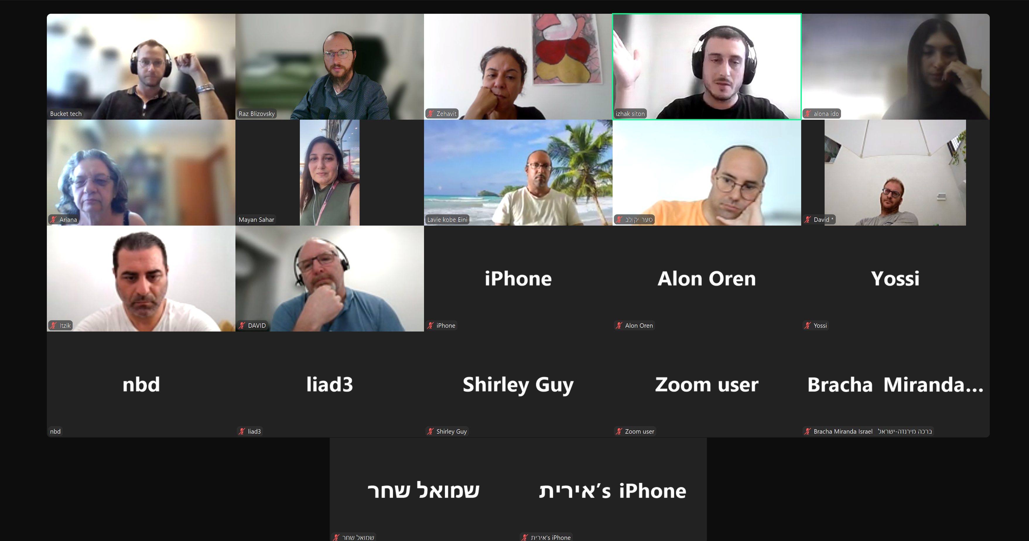 מפגש זום של הקהילה