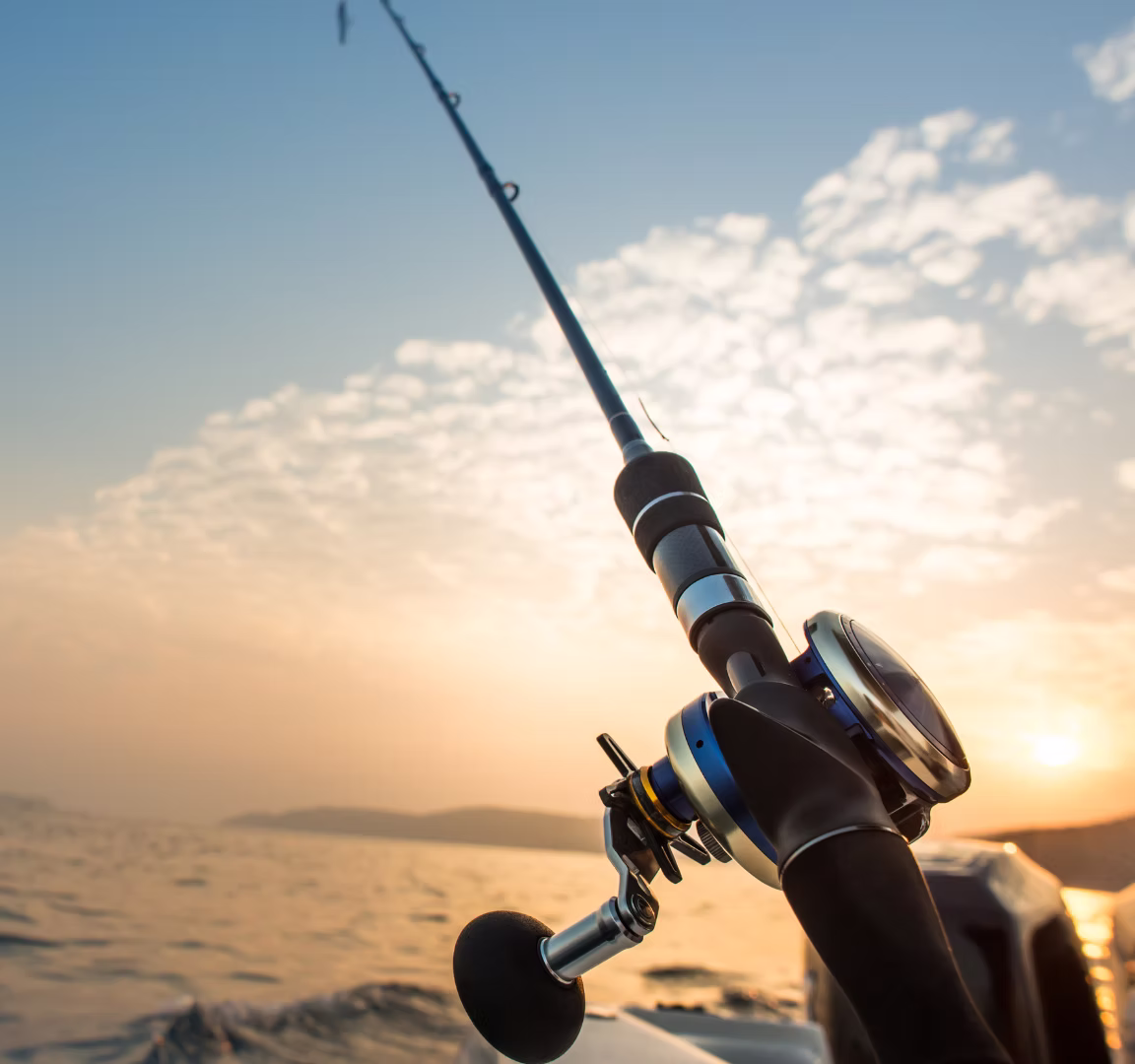 Calvi Fishing