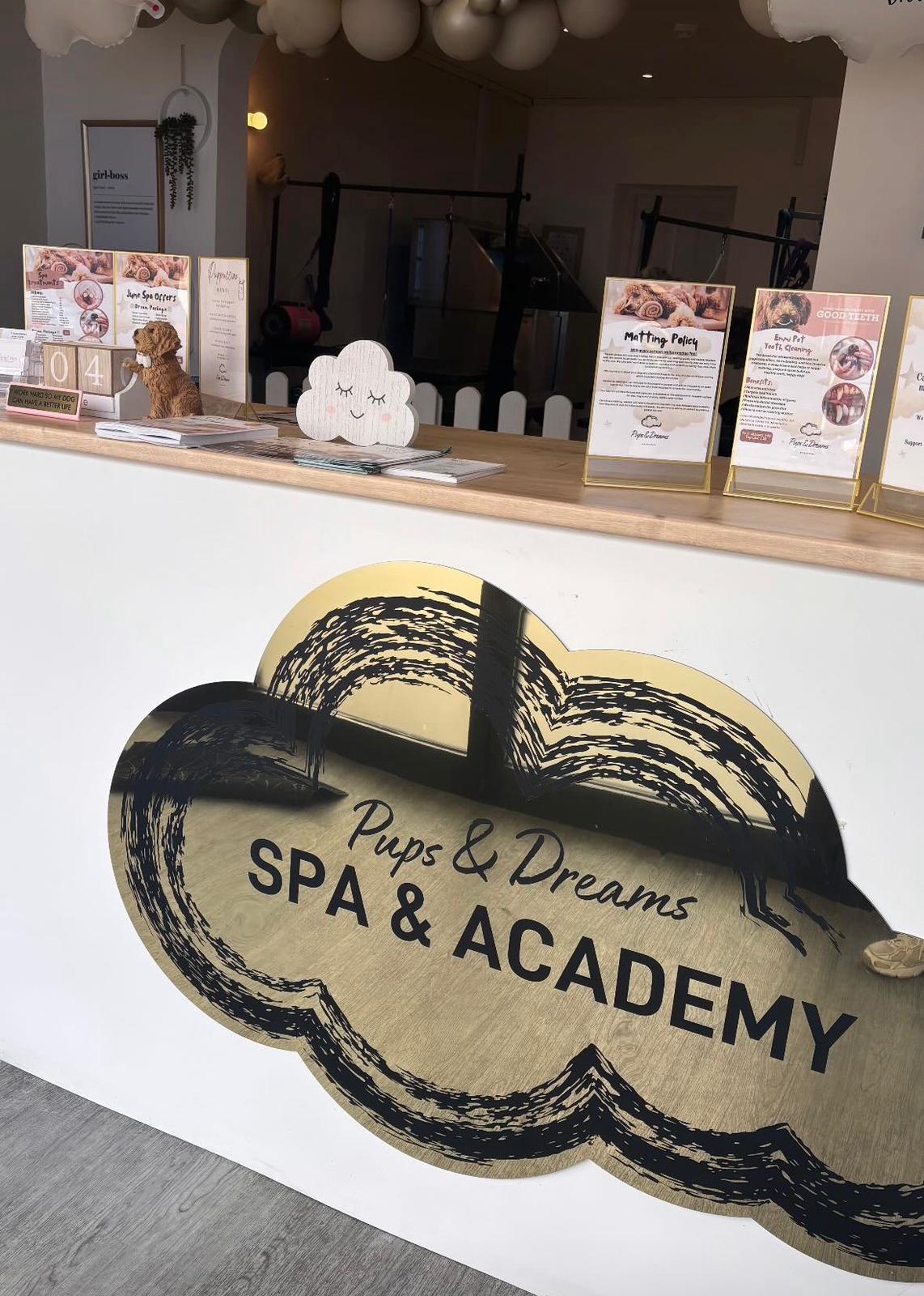Our salon 1