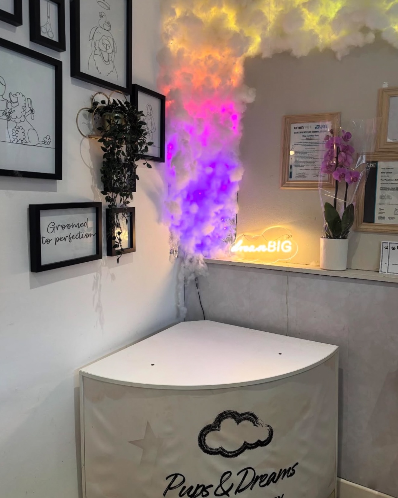 Our salon 9