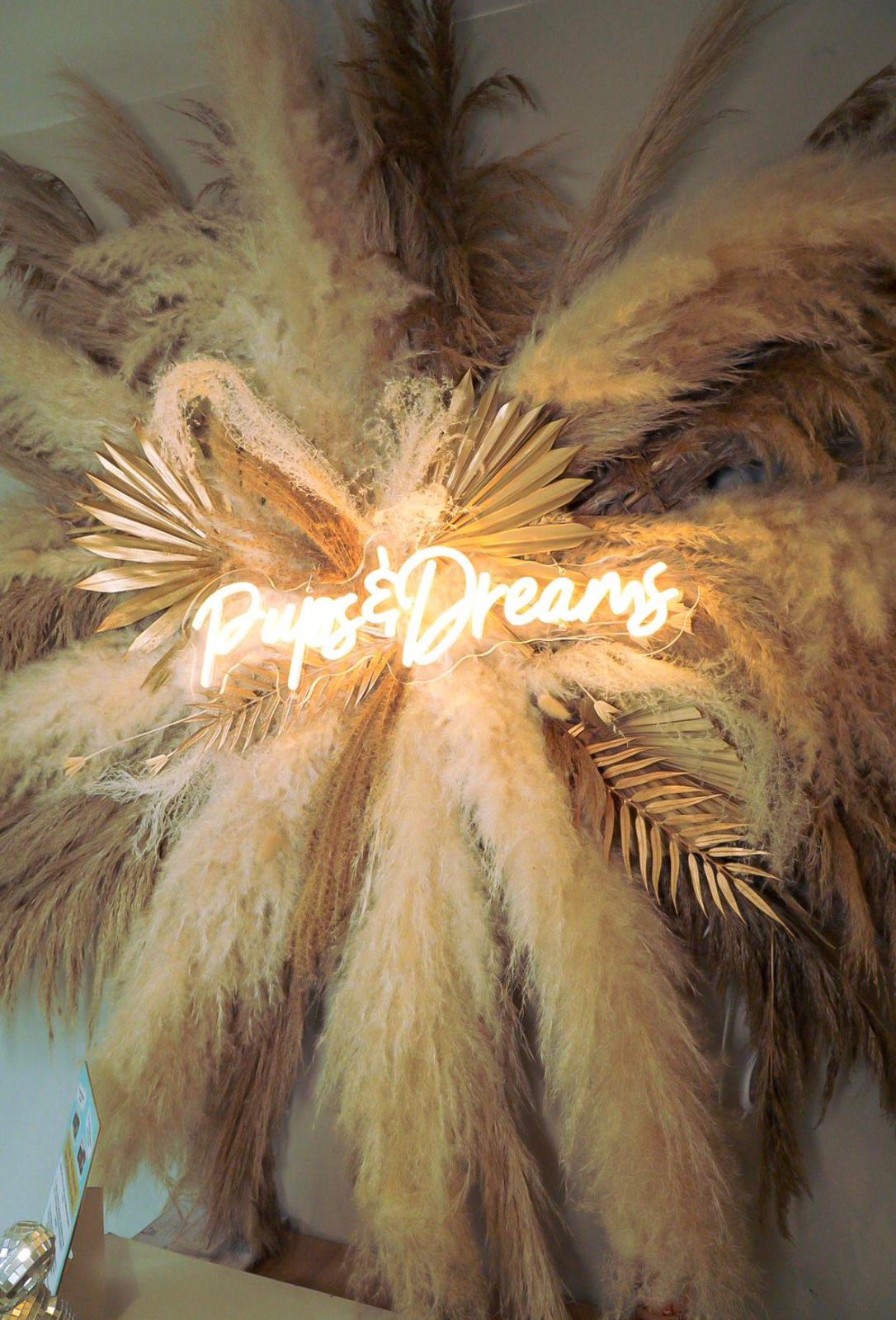 Our salon 4