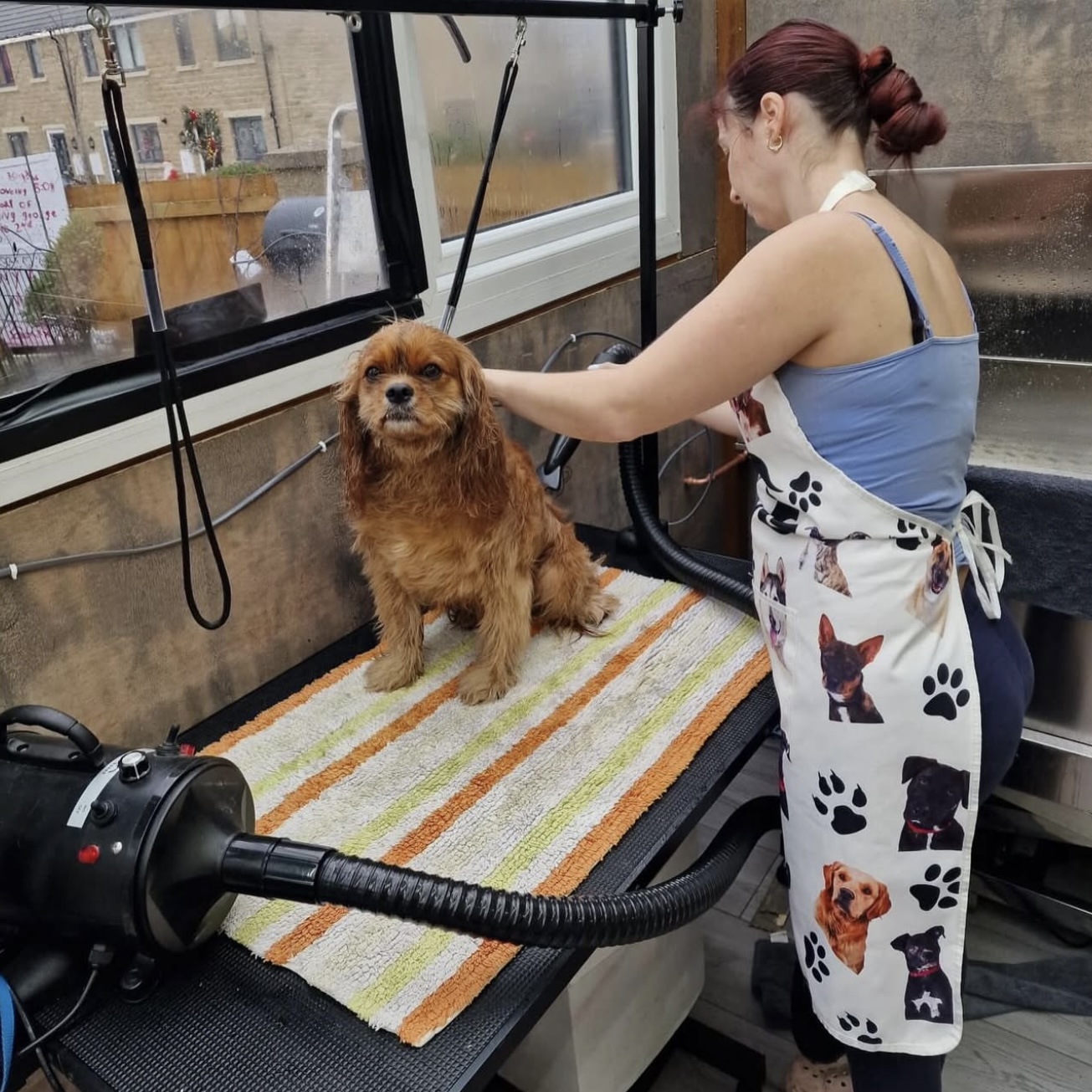 Hyena Shed Dog Grooming exterior