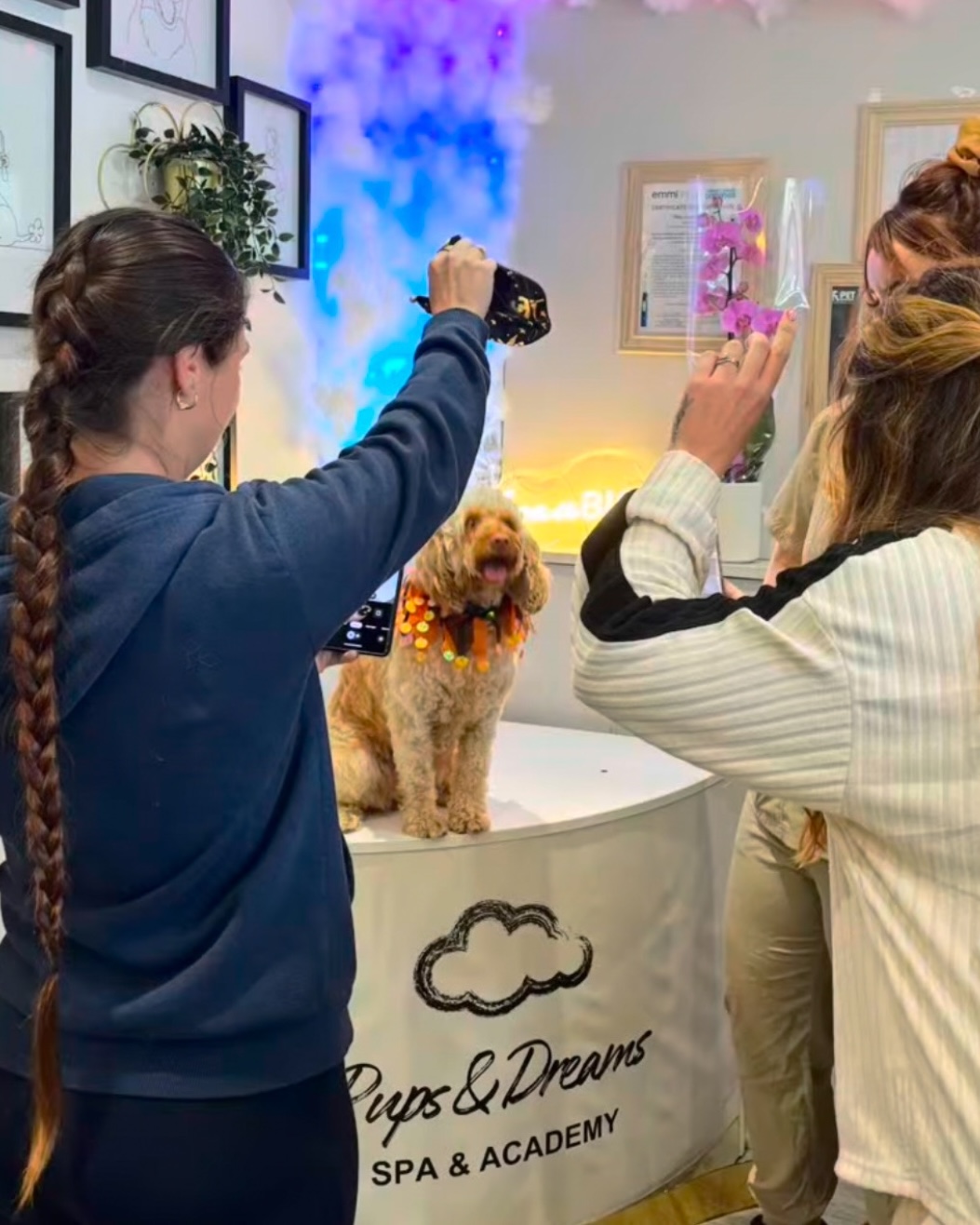 Our salon 6