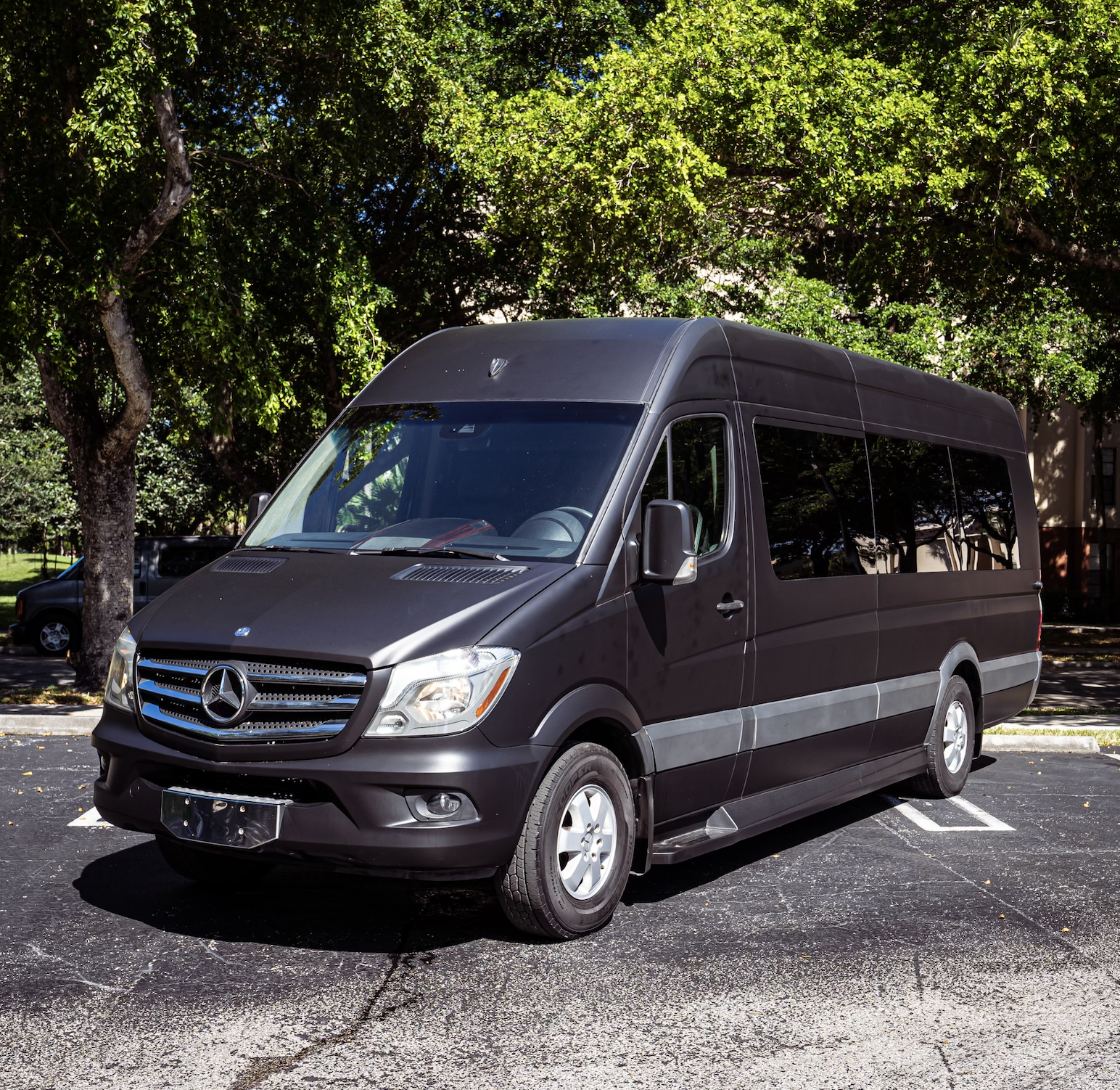 Black Sprinter Van