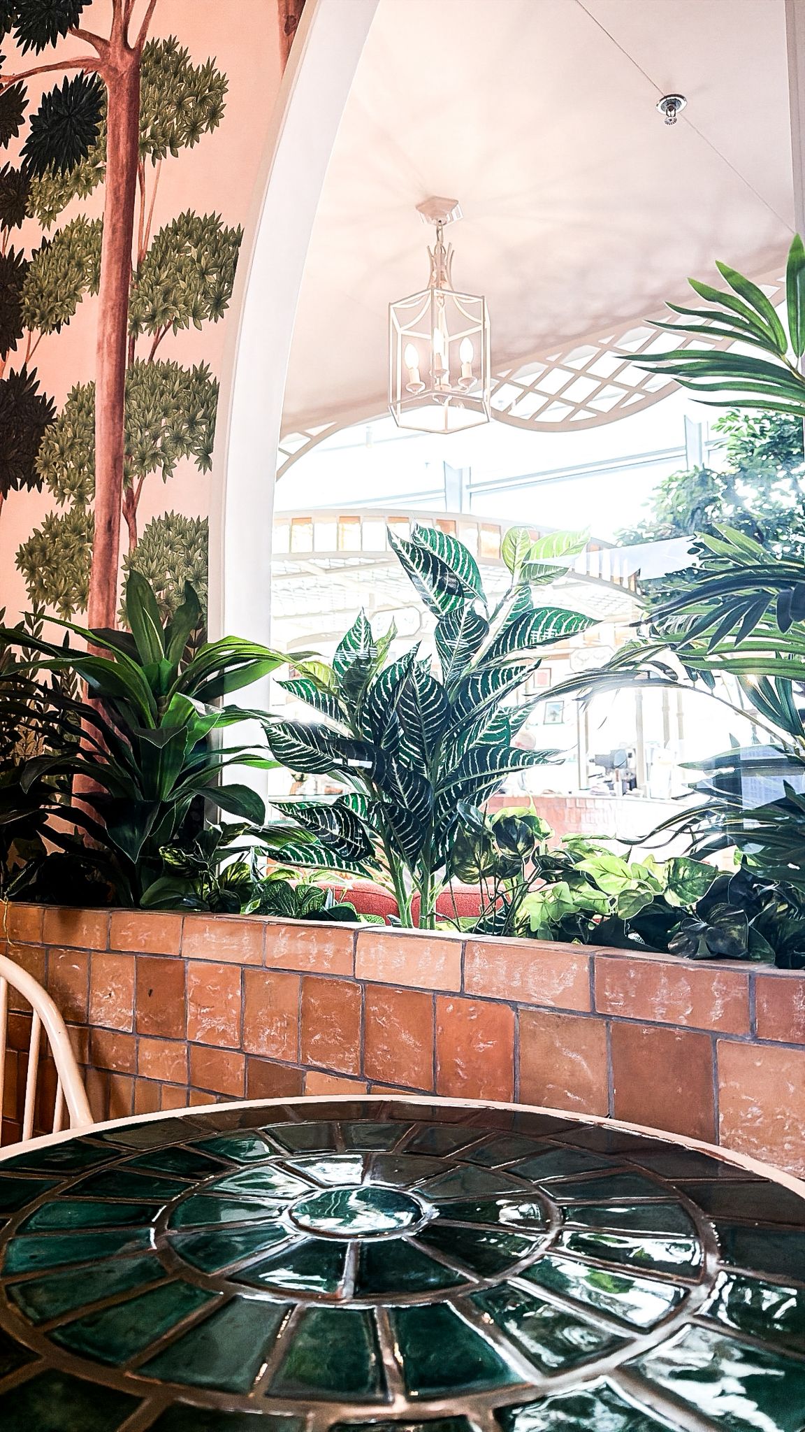 Tropical Garden Terrace - Lifestyle content by Elevate UGC