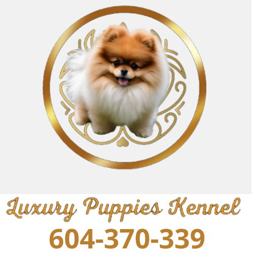 Luxury Puppies Kennel Benidorm