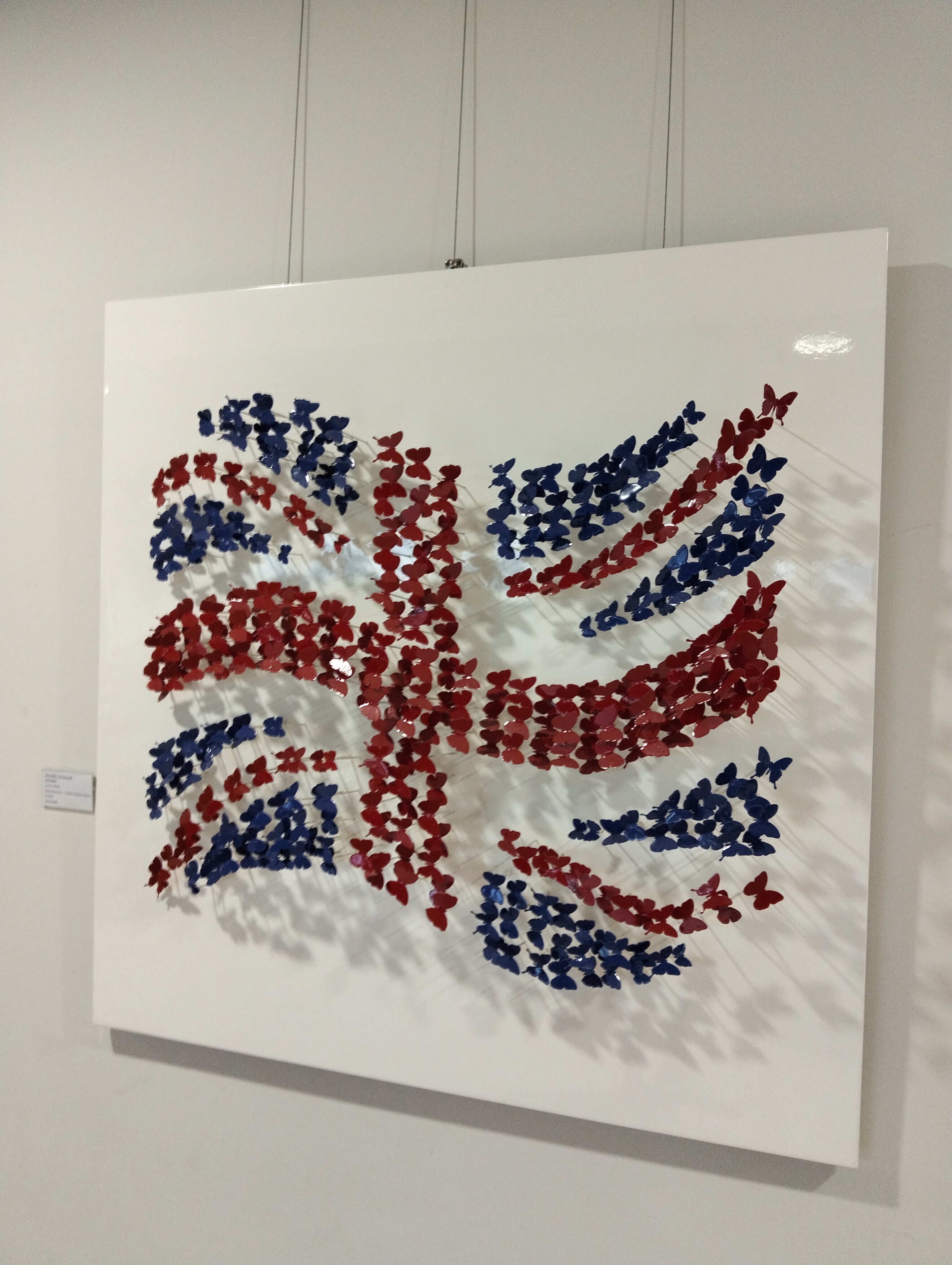 Butterfly Union Jack