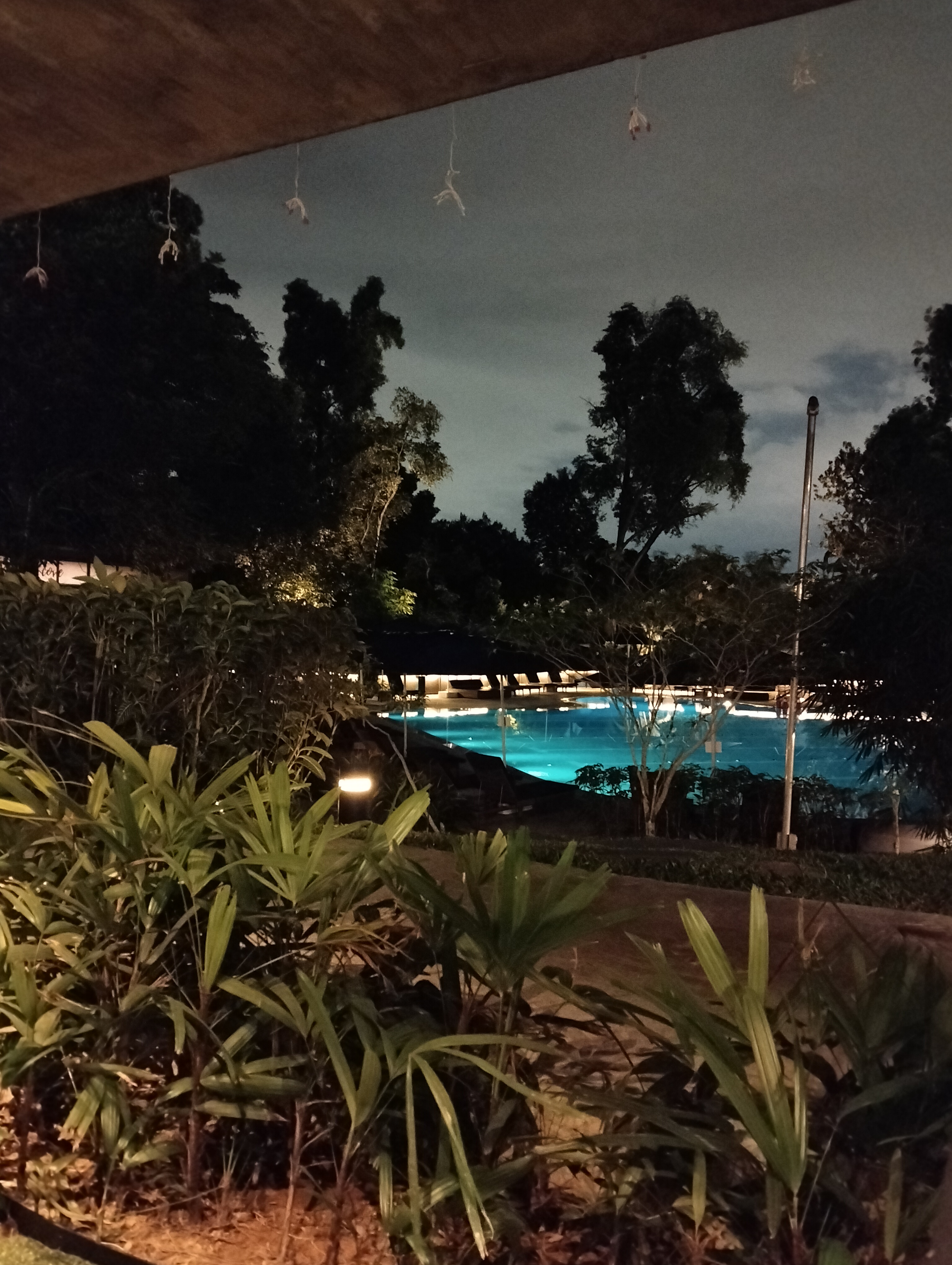 Tropical Gardens