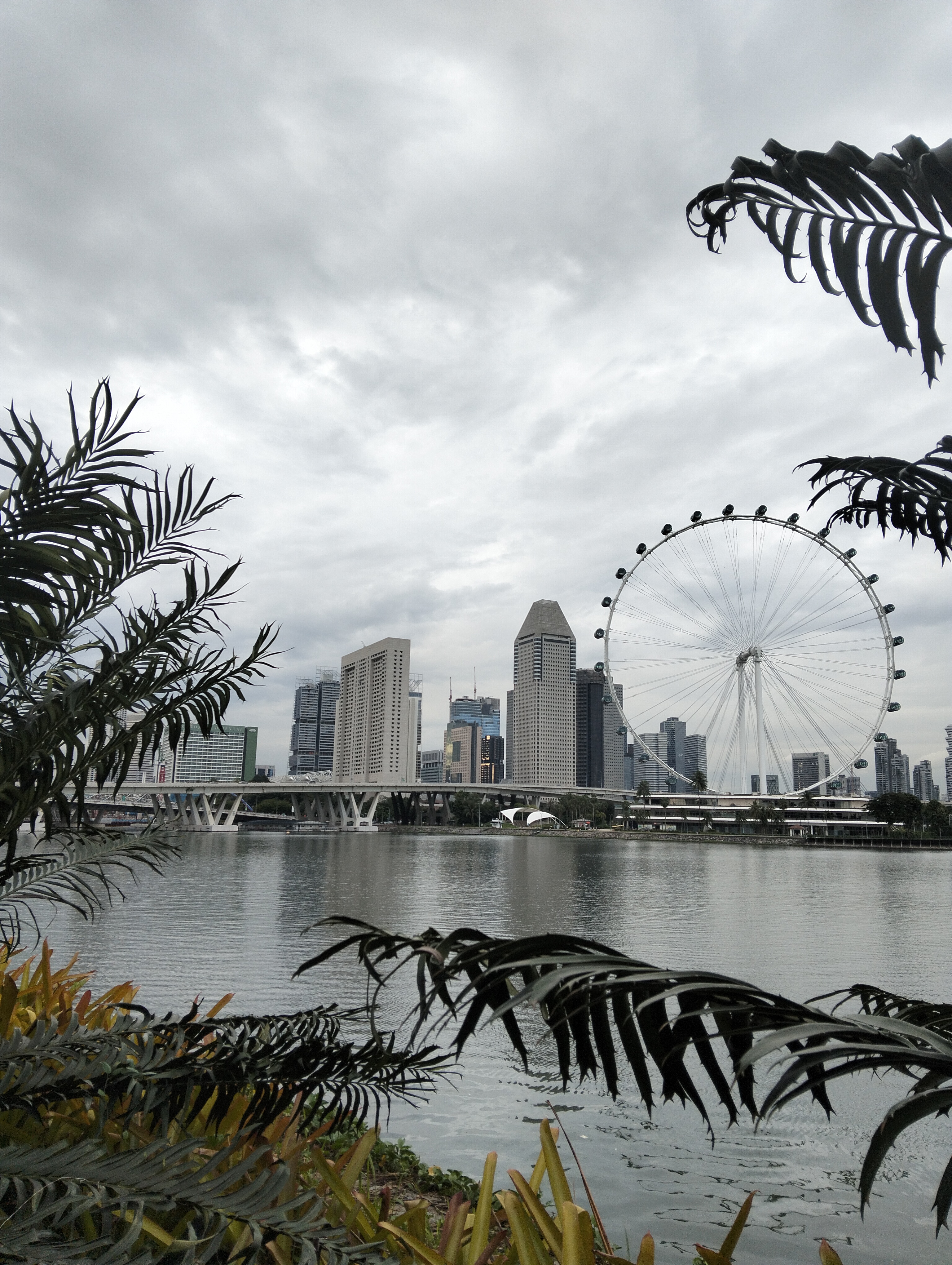 Singapore Skyline