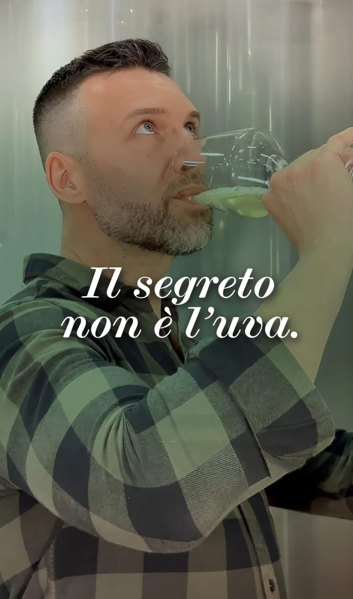 Claudio Pucci — Fondatore