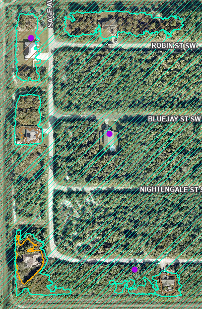 Brevard County flood map showing homes on Owl St SW — though surrounding land is in a flood zone, homes outlined in cyan have been elevated during construction and now sit outside the flood zone boundary