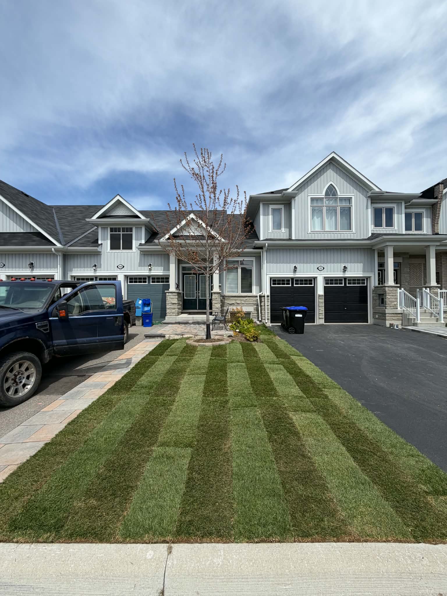New sod installation curbside in a residential neighborhood