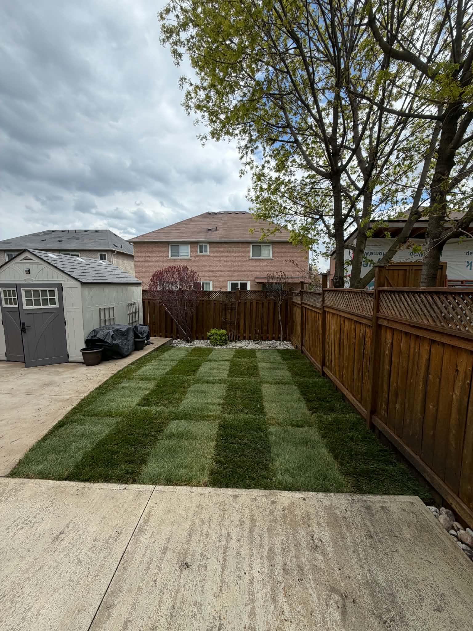 Backyard re-sodding with striped cutting pattern and a rock border