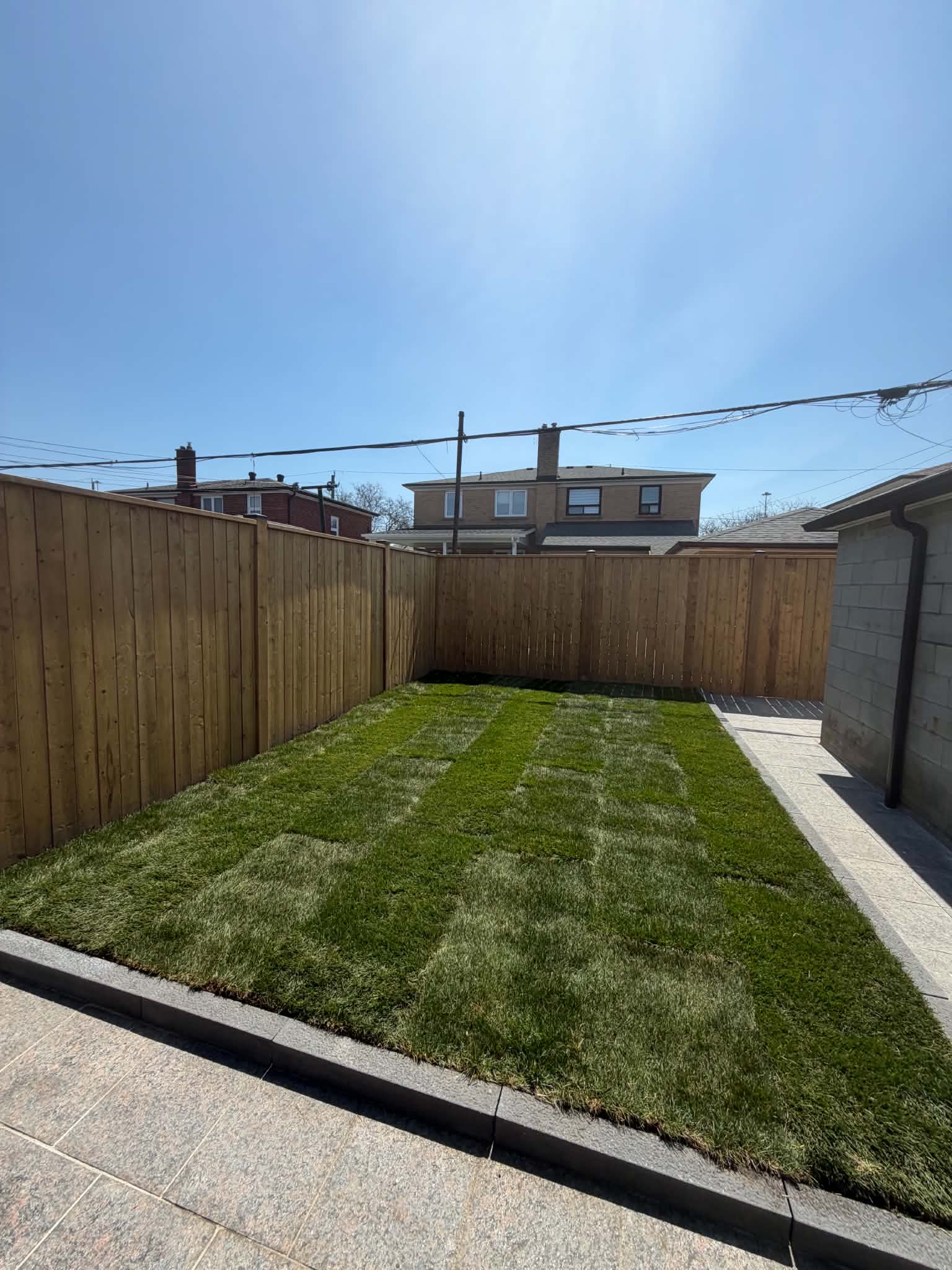 Fresh sod laid against a brand-new wood fence — full backyard transformation