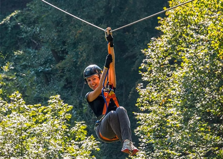 Jungle Raider Park