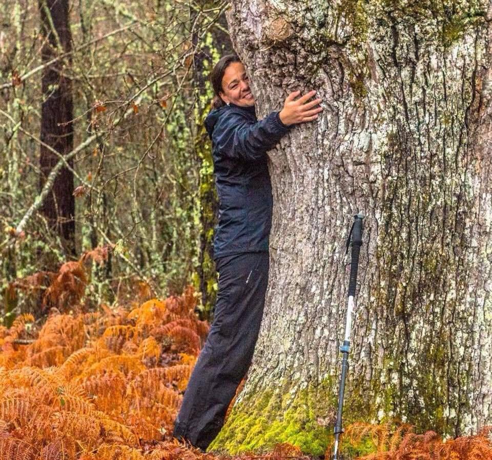 Mulher sentada numa cadeira de campo sob uma árvore, em contemplação na natureza