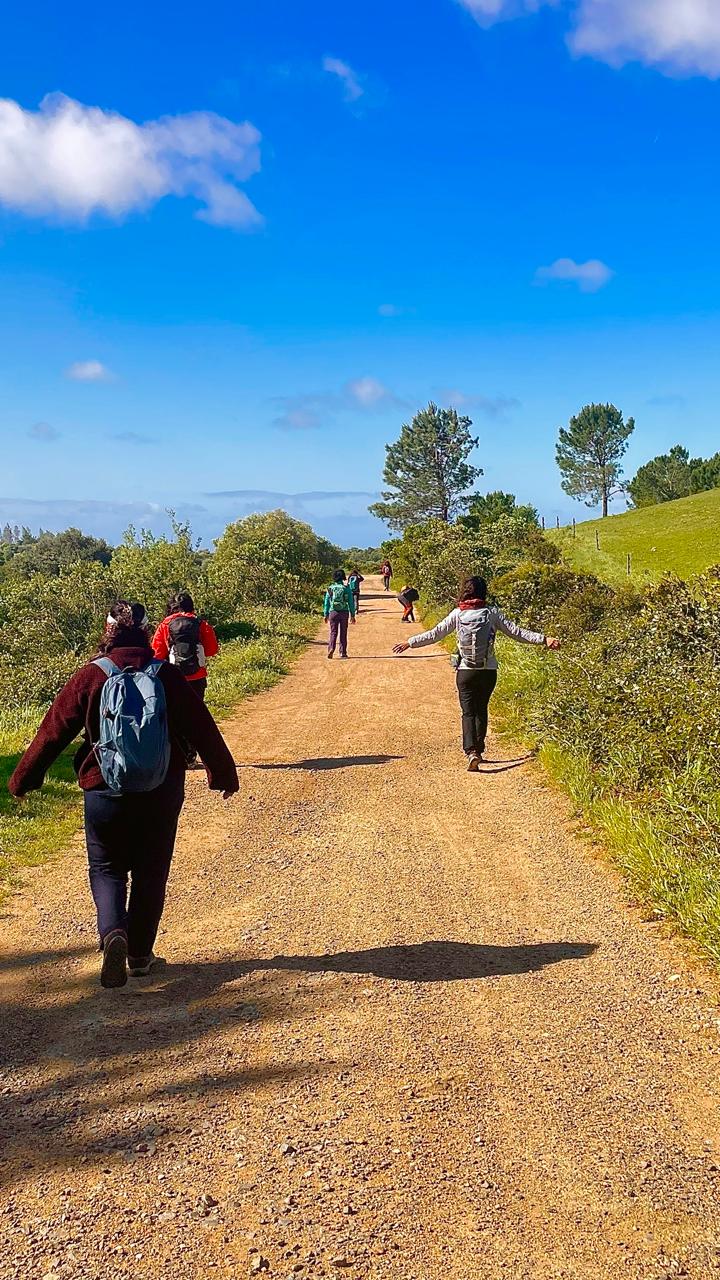 Mulher a abraçar o tronco de uma árvore numa floresta de outono