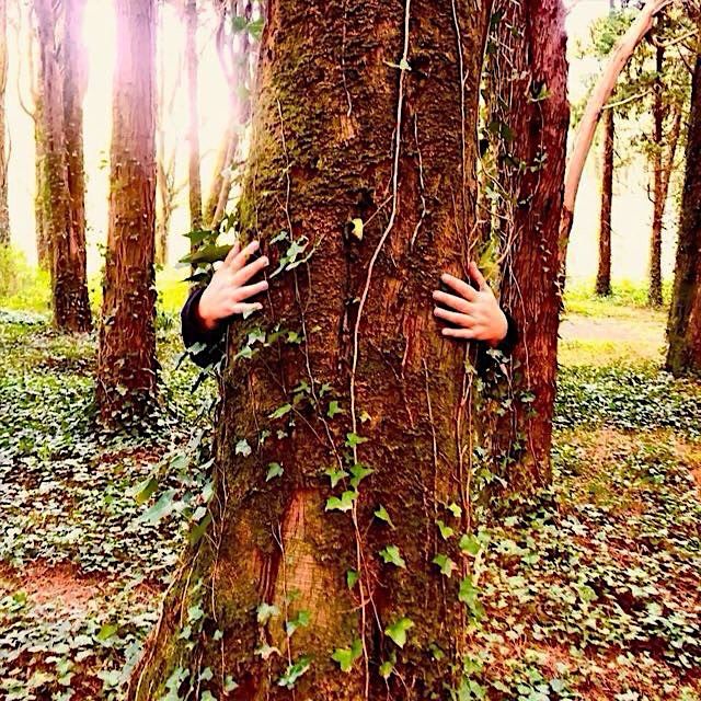 Mãos a abraçar o tronco de uma árvore numa floresta luminosa