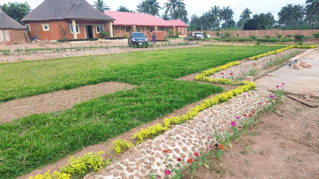 Village landscape