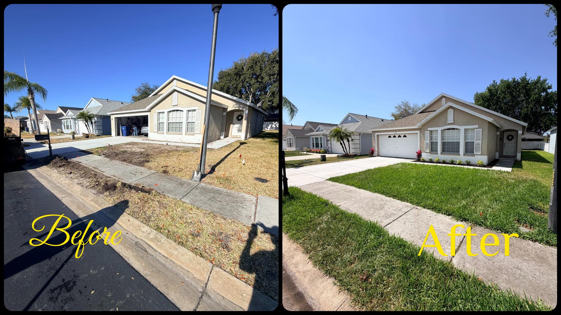 Front yard sod restoration — before and after