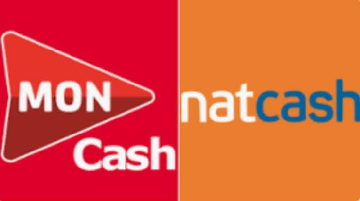 Échange MonCash / NatCash