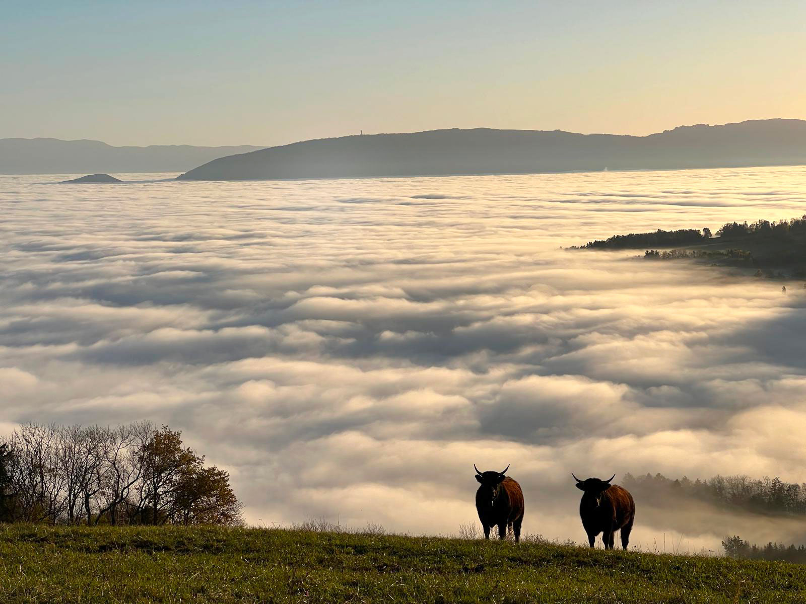 Paysage agricole français