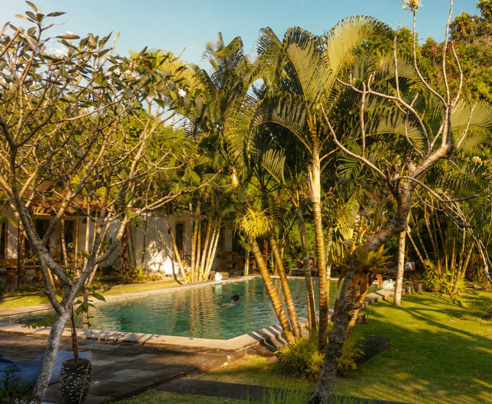Swimming pool at Agung Wiwin Homestay