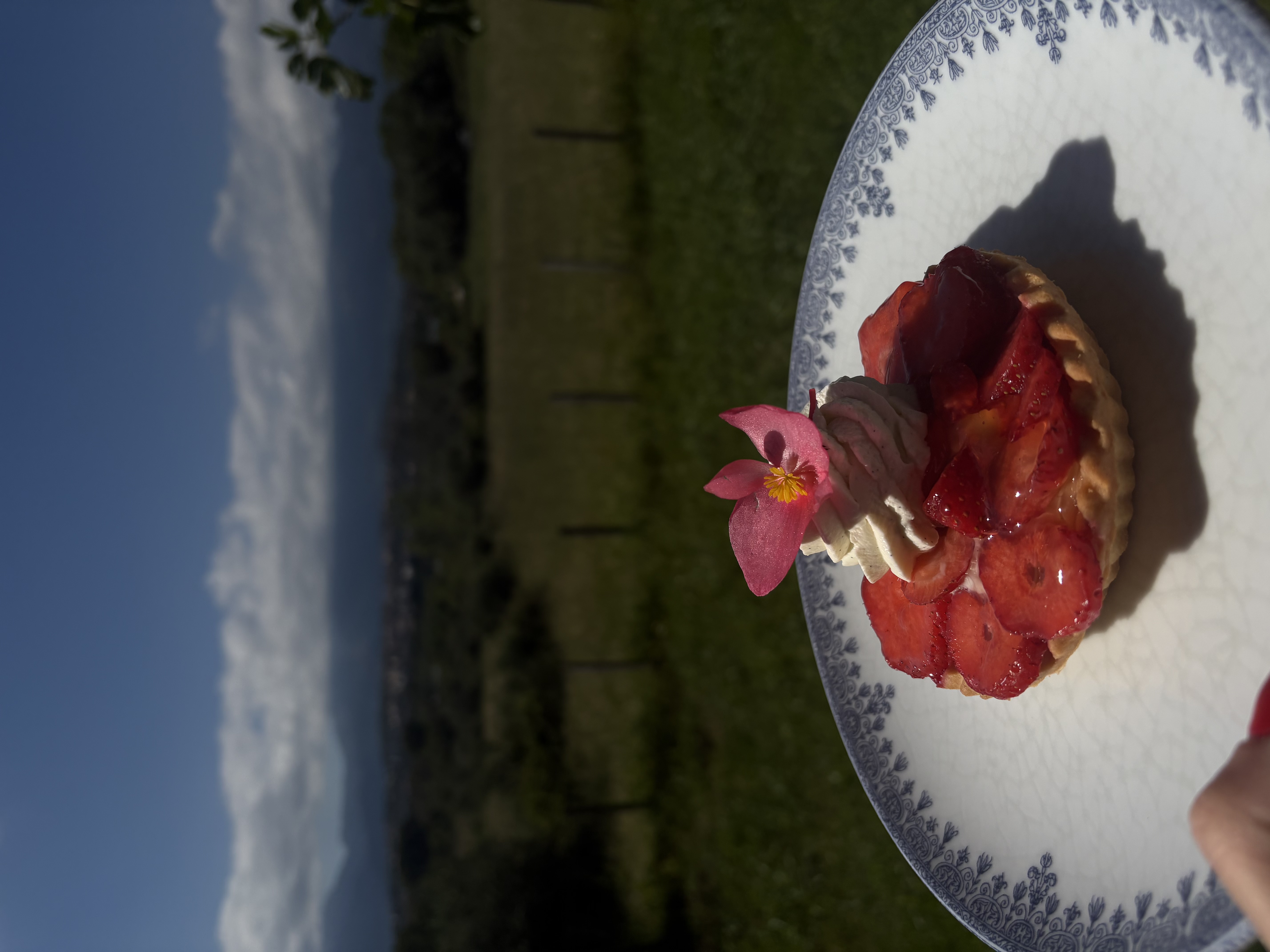 Tarte aux fraises Gariguettes corses avec vue panoramique