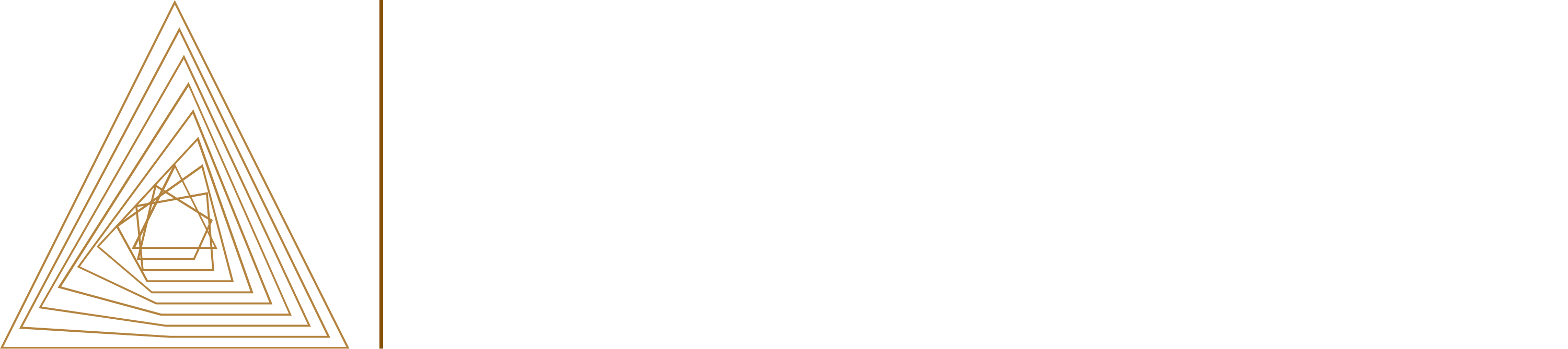 ASB606 PLATFORMS GROUP