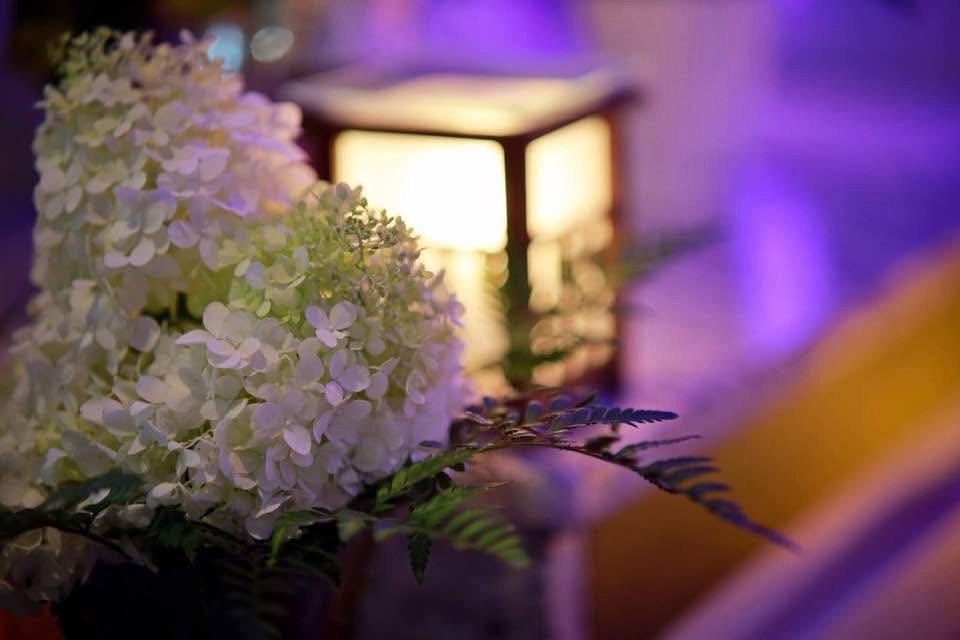 Vesak Decorations